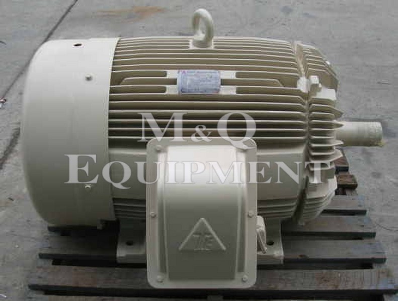 132 KW / TECO / Electric Motor